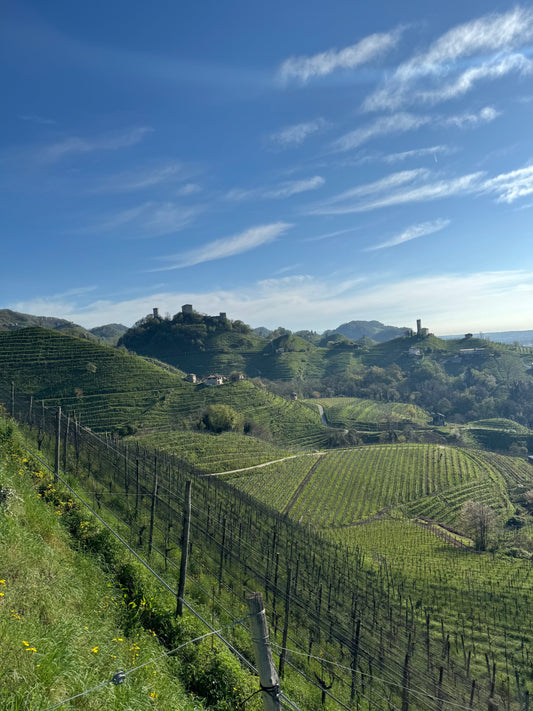PROSECCO LOVERS, MEET YOUR UPGRADE